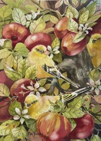 Apples and Finches