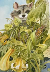 Squash Beans Corn and Raccoon