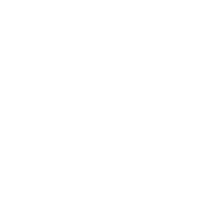 Ebooks & Audiobooks