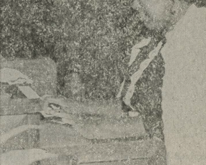Julia Perry, Composer (2023)