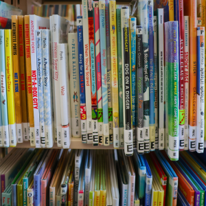 Colorful children's books displayed on a shelf with the letter "E" on the spine.