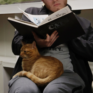Book club member of the "Check Meowt Book Club" reads the monthly book while an orange cat sits on their lap. 