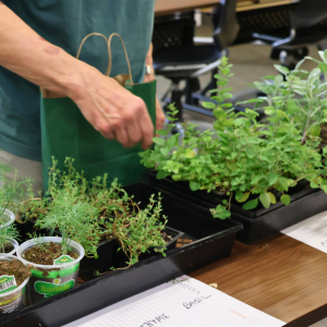 Master Gardener and Free Plant Giveaway events return to the library. Get your free plants at the Northside Branch throughout the season