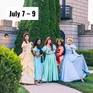 Five princess characters pose in front of a castle. 