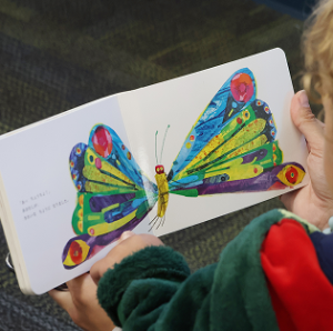 Picture book with butterly illustration