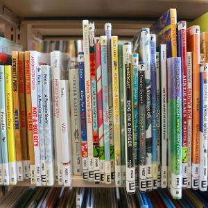 Bucket of Books