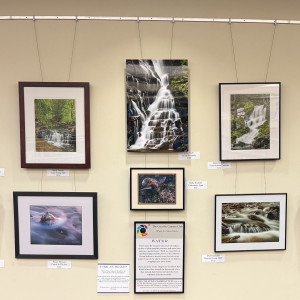 Tates Creek Branch Gallery