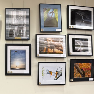 Tates Creek Branch Gallery