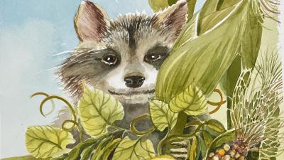 Squash Beans Corn and Raccoon