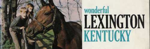 Government Documents Collection