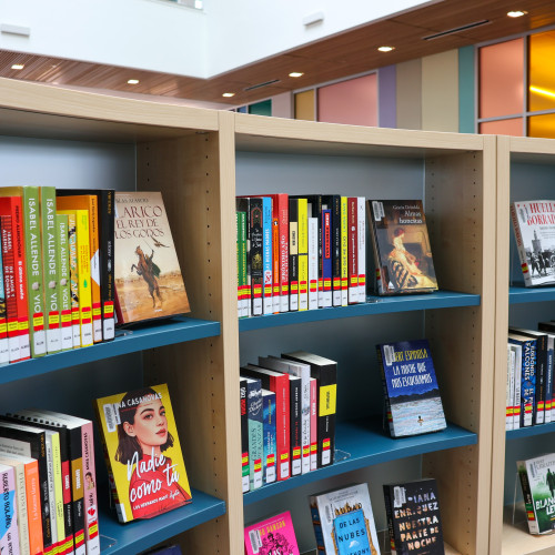 Innovation in Literacy & Education