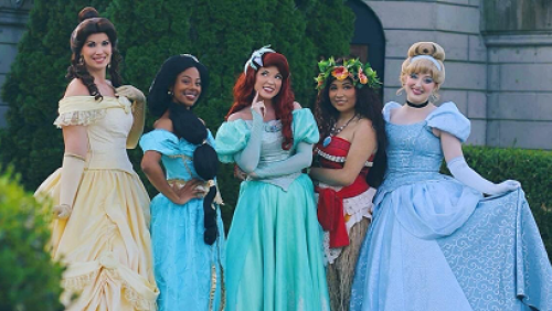 Princess and Hero Meet and Greet