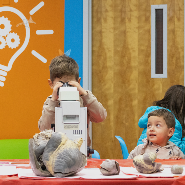 Child looks through microscope in the STEAM Lab, younger child looks up on the fun, and anatomical hearts sit in the foreground