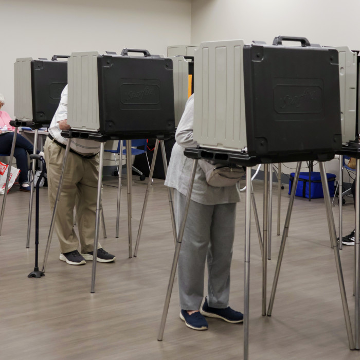 Voters at the library