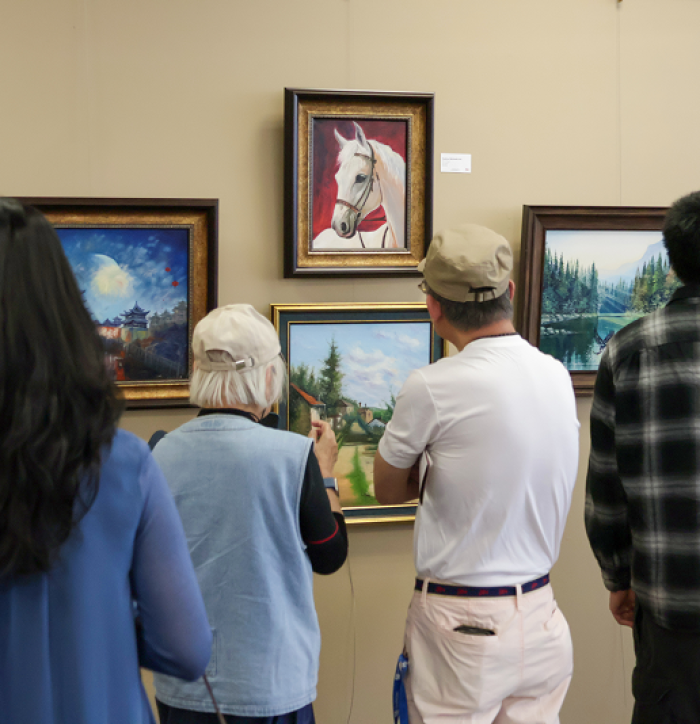 Get HAAPI Art Exhibit