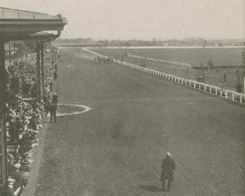 Lexington Businesses and Clubs