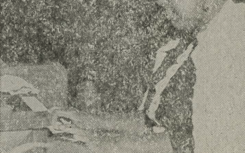 Julia Perry, Composer (2023)