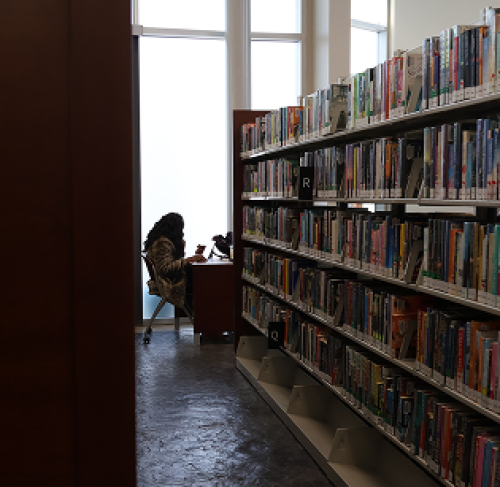 Person studying at desk