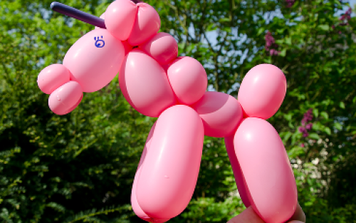 Learn Balloon Twisting