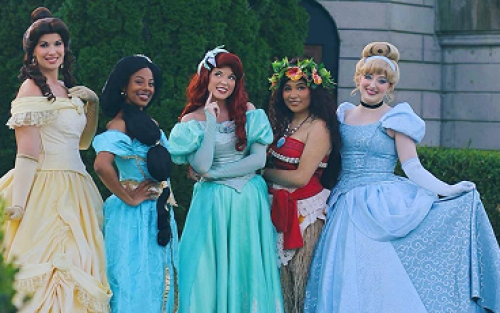 Princess and Hero Meet and Greet