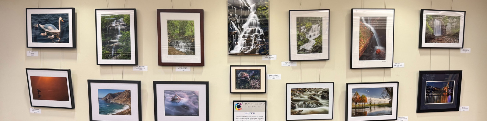 Tates Creek Branch Gallery