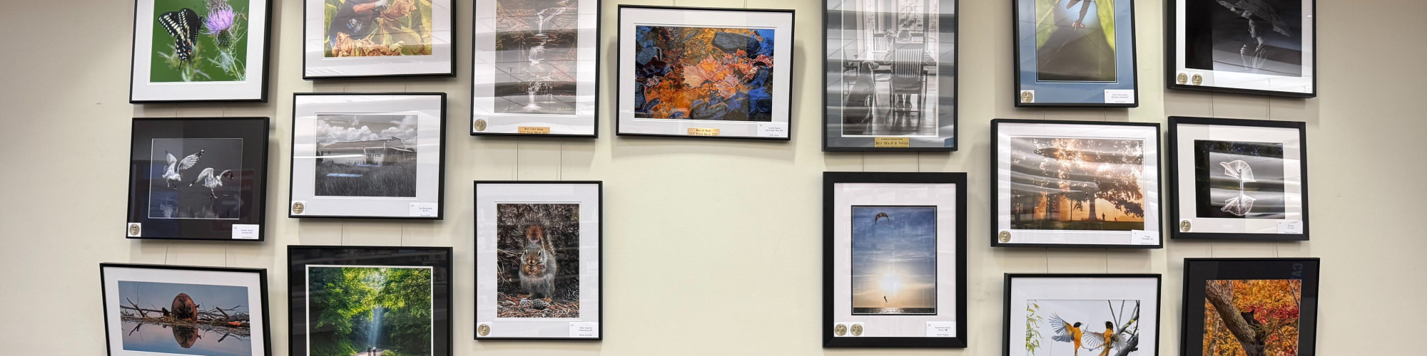 Tates Creek Branch Gallery