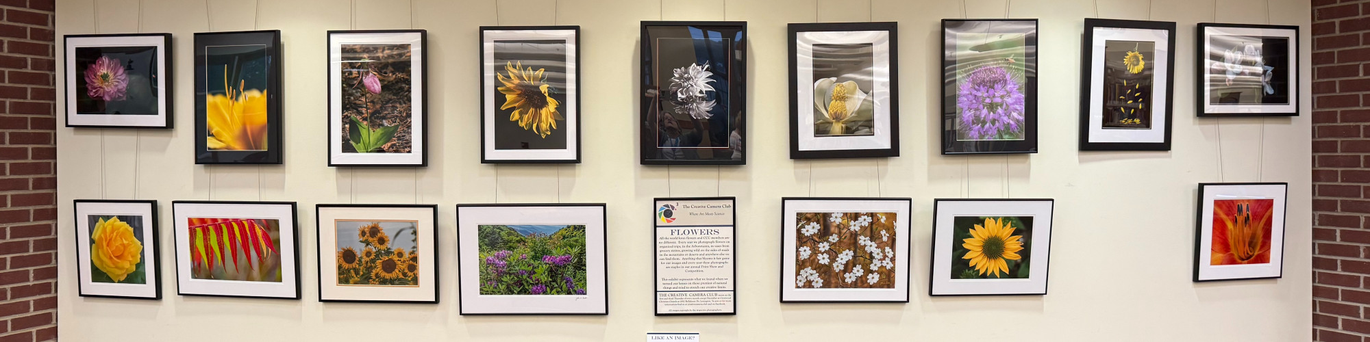 Tates Creek Branch Gallery
