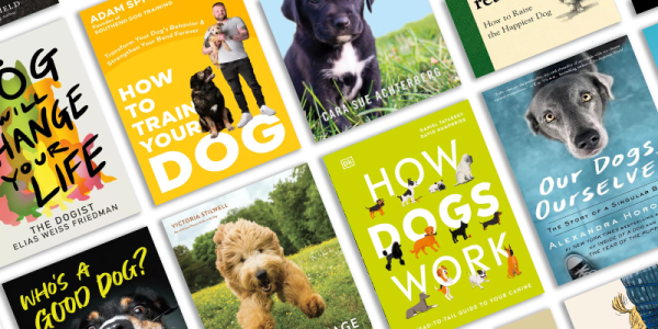 Covers of titles from the "Dog Days of Summer" reading list curated by LPL Librarians. Click to browse the catalog.