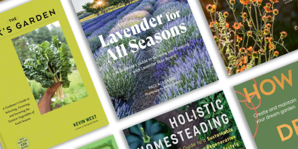 Book covers from various titles selected for spring 2026 in the LPL catalog